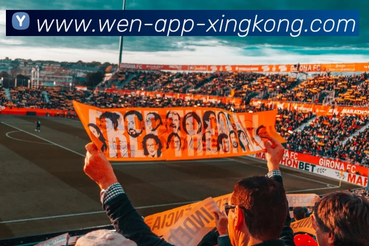 星空体育官网发展历程